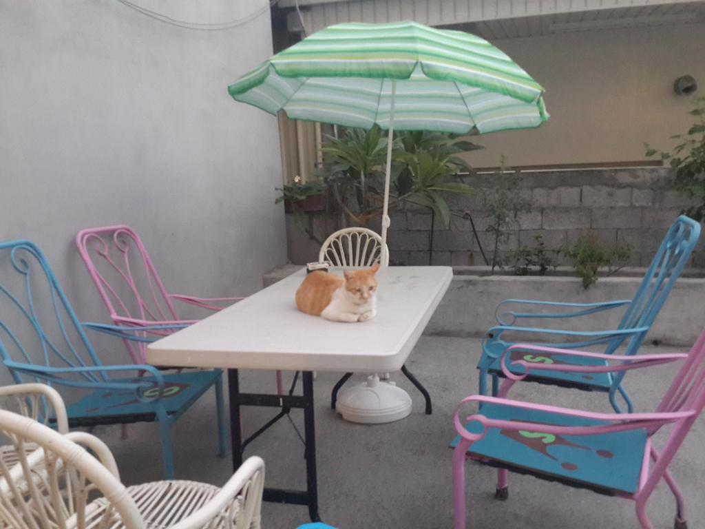 Hualien Susi Space Xincheng Township Exterior foto